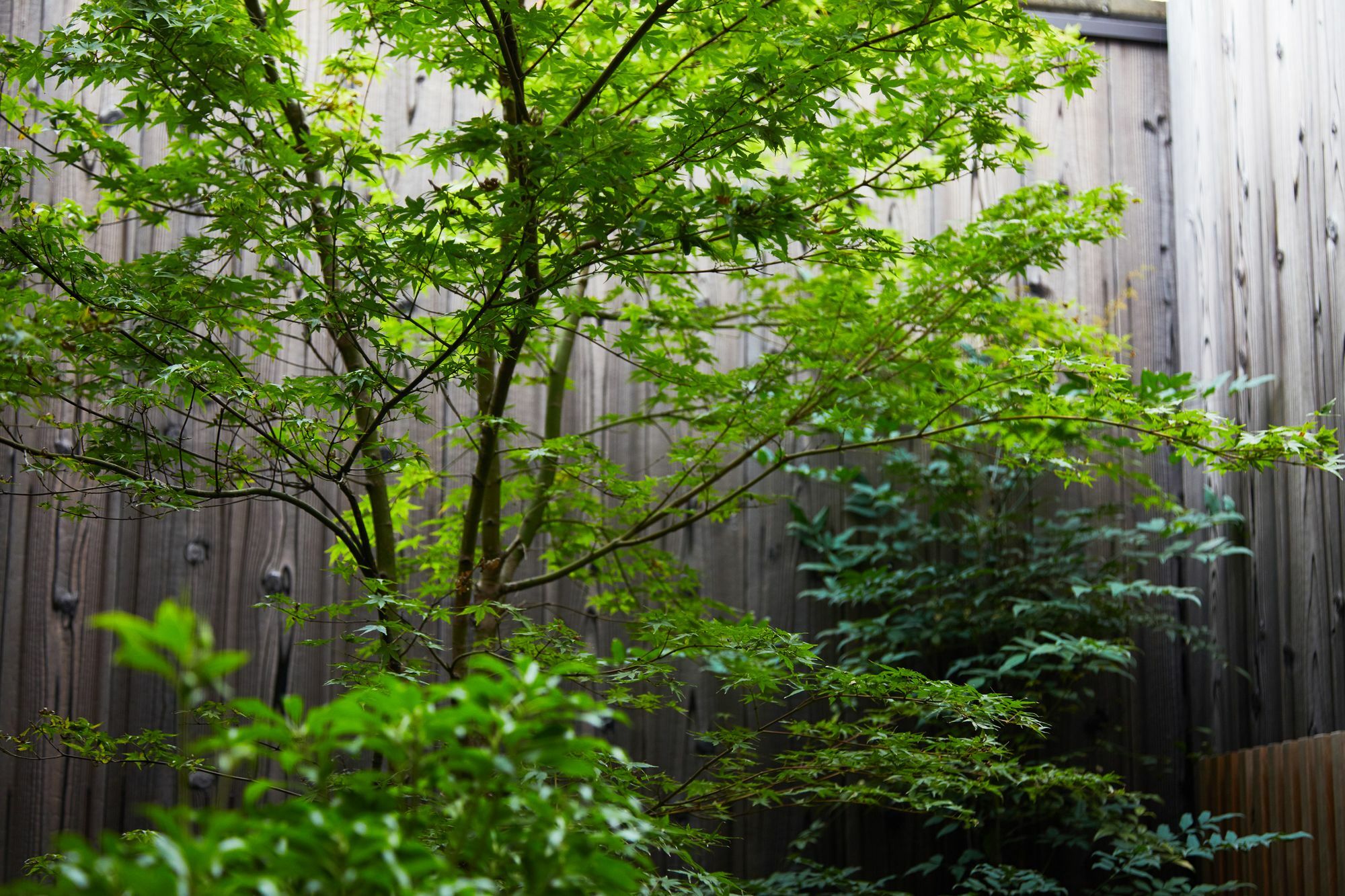 Nakano-An Kyoto Ngoại thất bức ảnh